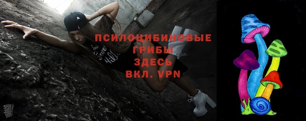 стафф Алексеевка