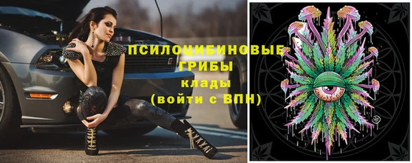 стафф Алексеевка