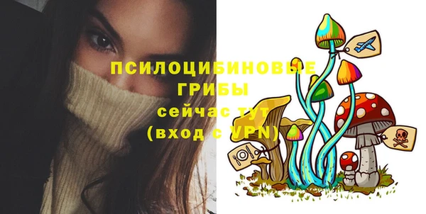 амф Абаза