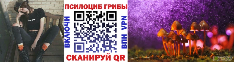 Псилоцибиновые грибы Psilocybine cubensis  Старая Купавна 